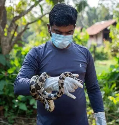 గ్రామానికో సర్పమిత్ర
