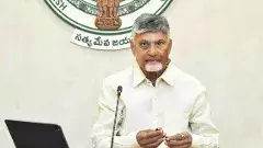 వారు తప్పు చేస్తే మీరే బాధ్యులు