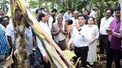 తుపాను నష్టంపై కేంద్ర బృందం సానుకూల స్పందన