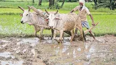 రైతున్న కోసం