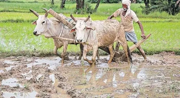 రైతున్న కోసం