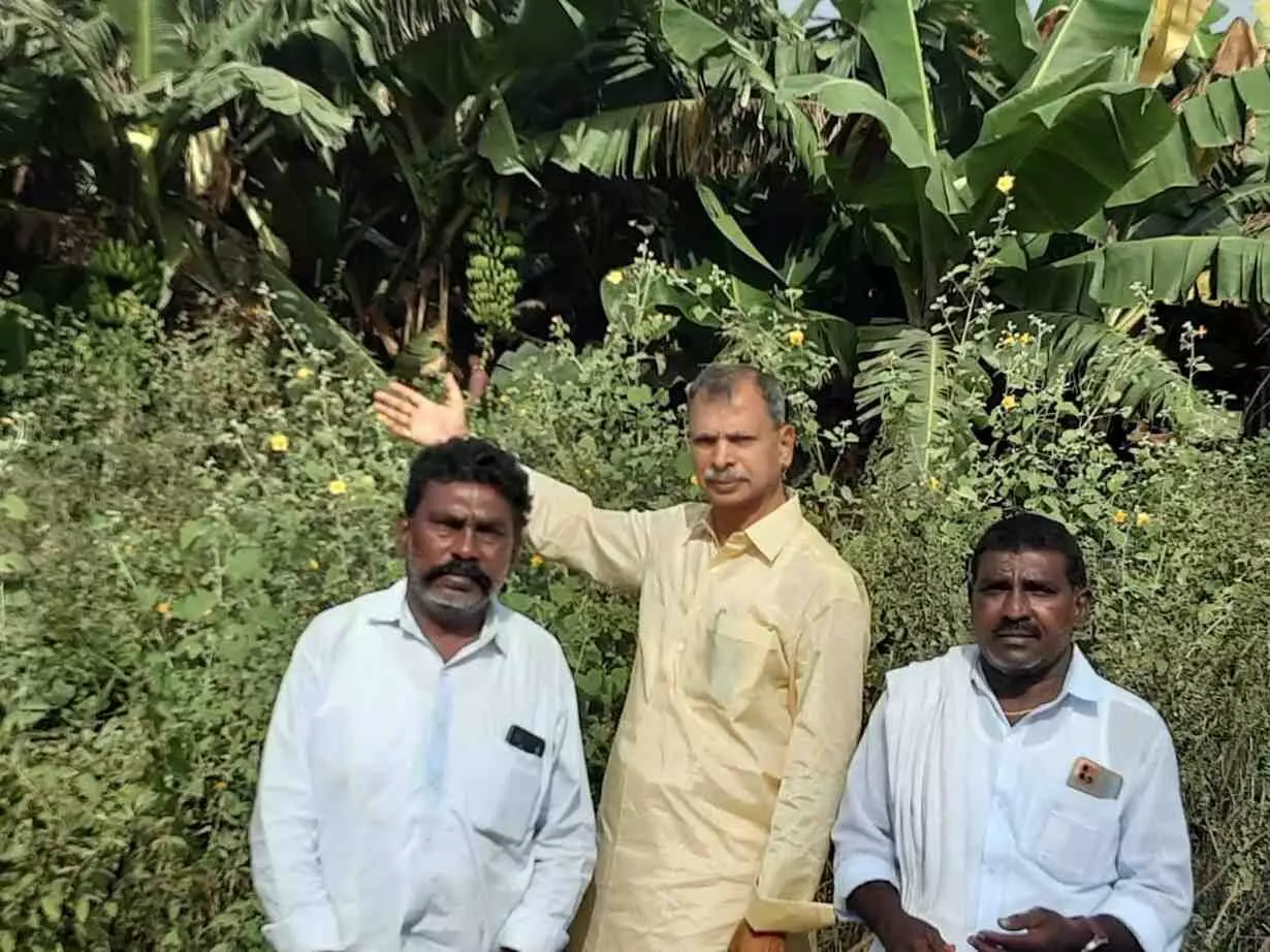 ‘చంద్రన్నా!పంచ సూత్రాలు ఎందుకన్నా ? గిట్టుబాటు ధర కల్పించన్నా!