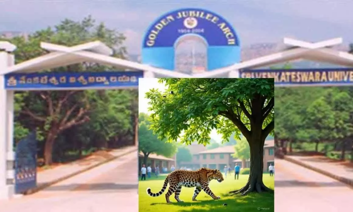 శేషాచలం కొండ దిగువకు చిరుతలు ఎందుకు వస్తున్నాయి.