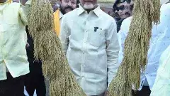 నా విజన్‌కి కోకాపేట భూముల ధరలే ఉదాహరణ