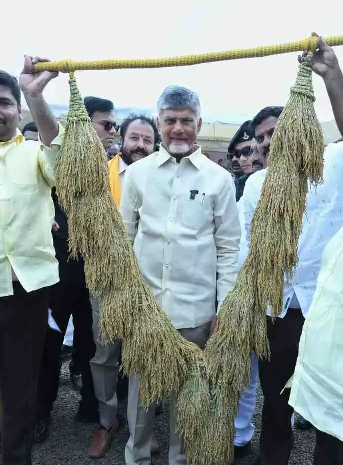 నా విజన్‌కి కోకాపేట భూముల ధరలే ఉదాహరణ