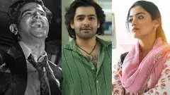 నవంబర్ భాక్సాఫీస్ : రివ్యూలు ఫుల్- కలెక్షన్స్ నిల్