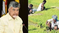 ఉన్న పథకాలు చాలవనా ‘రైతన్నా మీ కోసం’?