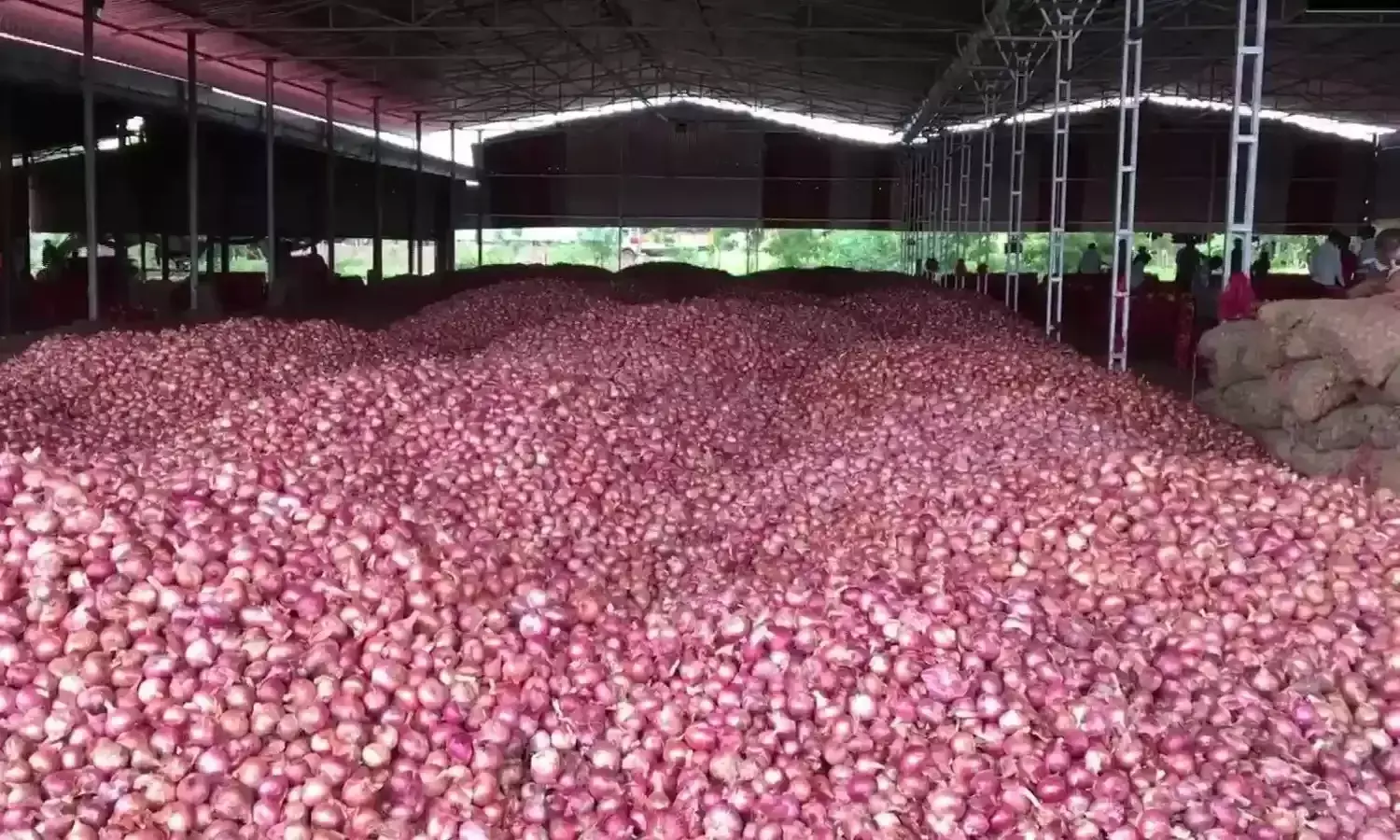 ప్రభుత్వ నిర్లక్ష్యం వల్లనే ఆంధ్రాలో వ్యవసాయ సంక్షోభం