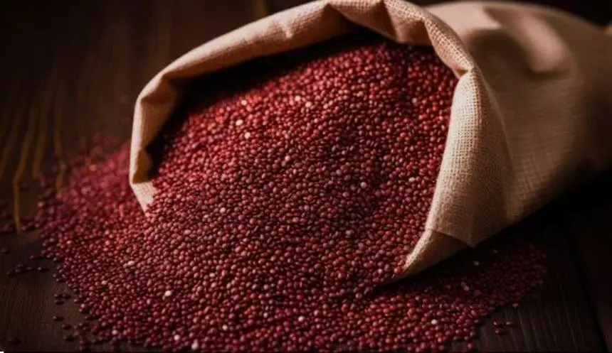 బియ్యం కార్డుకు 3కేజీల రాగులు