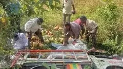 పంటకాల్వలోకి దూసుకెళ్లిన ఆటో, ముగ్గురి మృతి