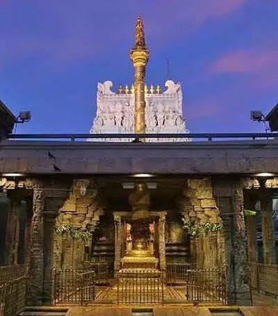 ధ్వజస్తంభాల కోసం.. టీటీడీ దివ్యవృక్షాల ప్రాజెక్టు ధ్వజస్తంభాల కోసం.. టీటీడీ దివ్యవృక్షాల ప్రాజెక్టు