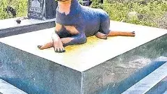 కుక్క కాదు ప్రాణం..2 లక్షలతో సమాధి