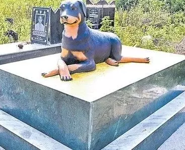 కుక్క కాదు ప్రాణం..2 లక్షలతో సమాధి కుక్క కాదు ప్రాణం..2 లక్షలతో సమాధి