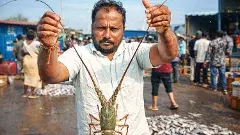 అబ్బబ్బా… ఈ రొయ్య మీసాలు చూడండి, ఎంతపొడవో!