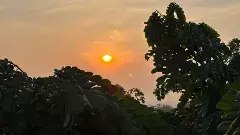 తెలి మంచు కరిగింది, తలుపు తీయనా ప్రభూ!