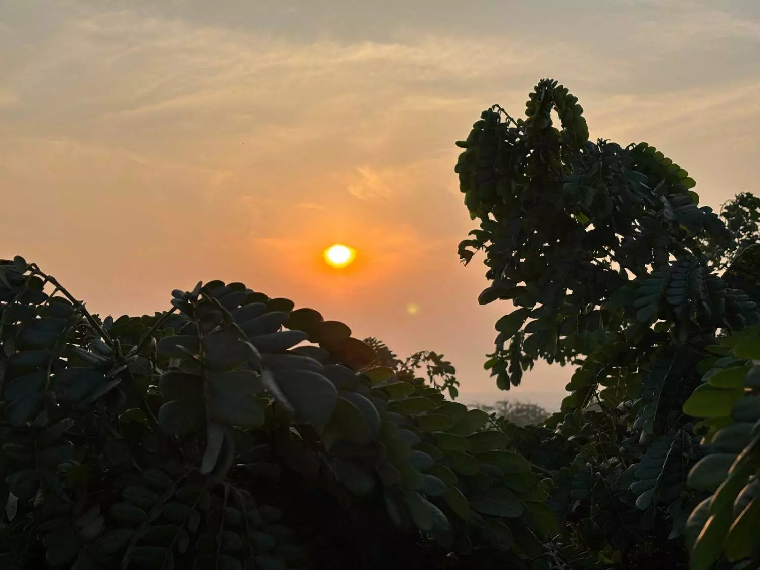 తెలి మంచు కరిగింది, తలుపు తీయనా ప్రభూ! తెలి మంచు కరిగింది, తలుపు తీయనా ప్రభూ!