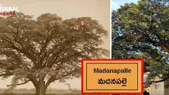 పల్లె ముచ్చట్లకు నిలయం.. చరిత్రకు సాక్ష్యం...