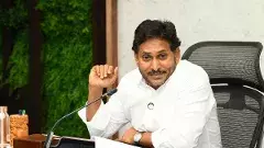 జగన్‌కు తీవ్ర జ్వరం..పర్యటనలు రద్దు