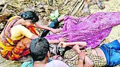 కోడిపుంజుల ఈత సరదా తండ్రీకొడుకుల ప్రాణాలు తీసింది