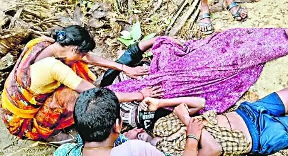 కోడిపుంజుల ఈత సరదా తండ్రీకొడుకుల ప్రాణాలు తీసింది కోడిపుంజుల ఈత సరదా తండ్రీకొడుకుల ప్రాణాలు తీసింది