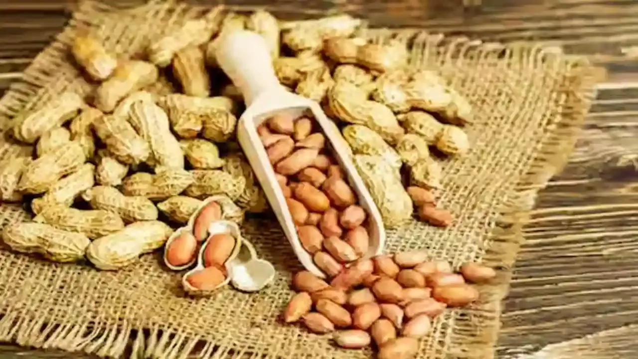 కష్టాల్లో  అనంతపురం వేరుశెనగ రైతు, కారణమెవరు?