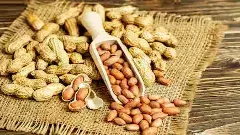 కష్టాల్లో  అనంతపురం వేరుశెనగ రైతు, కారణమెవరు?