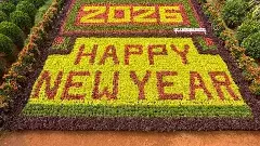 కొత్త పూల సంబరం… కడియపులంక స్వాగతం