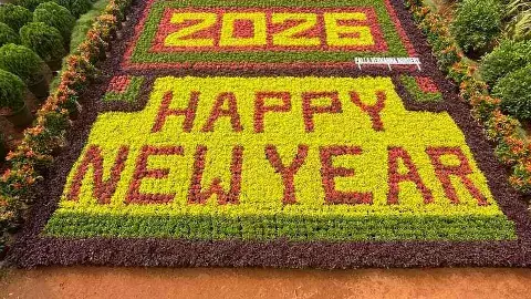 కొత్త పూల సంబరం… కడియపులంక స్వాగతం