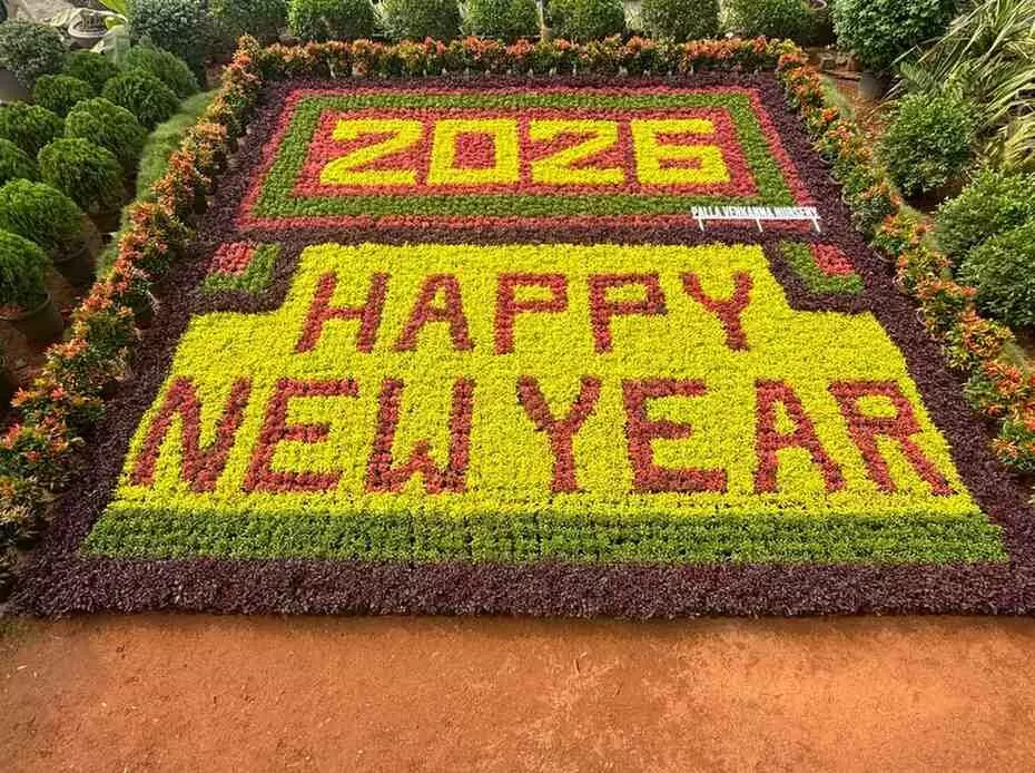 కొత్త పూల సంబరం… కడియపులంక స్వాగతం కొత్త పూల సంబరం… కడియపులంక స్వాగతం