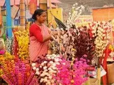 ఎస్సీలలో 4,400 మందికేనా ఉన్నతి?