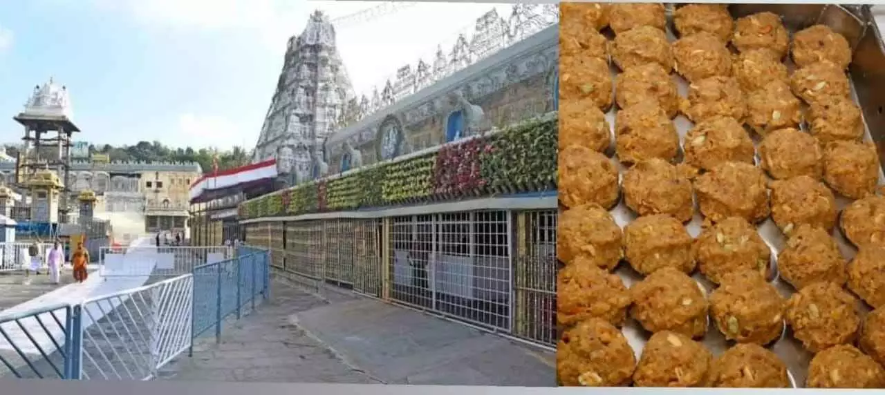 శ్రీవారి లడ్డూ ప్రసాదాల విక్రయంలో సరికొత్త రికార్డు శ్రీవారి లడ్డూ ప్రసాదాల విక్రయంలో సరికొత్త రికార్డు