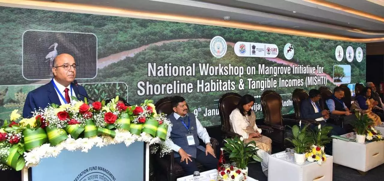 మడ అడవులు ప్రకృతి గోడలు మడ అడవులు ప్రకృతి గోడలు