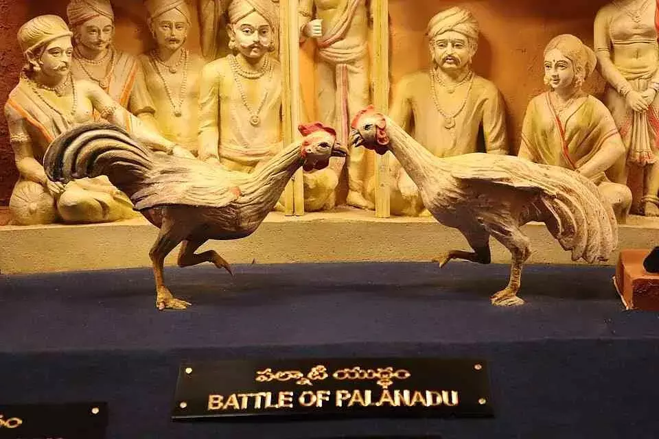 ’కుక్కుట శాస్త్రం‘ అంటే ఏంటో తెలుసా?