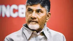 సీఎం చంద్రబాబుకు ఆ ఐఏఎస్ ను ఏమన్నారు?