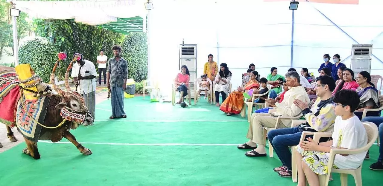 సంక్రాంతి సంబరాల్లో గంగిరెద్దుల గమ్మత్తు సంక్రాంతి సంబరాల్లో గంగిరెద్దుల గమ్మత్తు