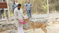 kotappakonda Deer park