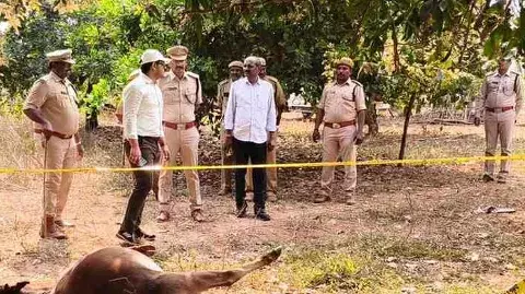 అంతర్వేది గూడెంలో పెద్దపులి