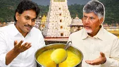 Adulterated ghee: టీడీపీ Vs వైసీపీ.. మళ్లీ రగిలిన రాజకీయ రగడ..