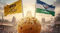 TTD Laddu Controversy