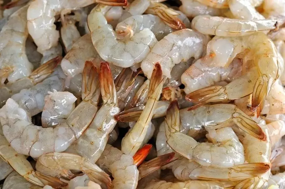 బడ్జెట్‌లో రొయ్యల పరిశ్రమకు లభించిన ఉపశమనం ఏమిటి?