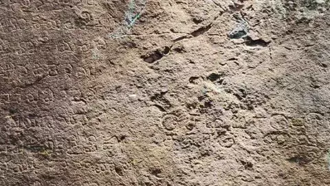 సదాశివకోన అడవుల్లో కనుమరుగవుతున్న పురాతన శిలాశాసనాలు