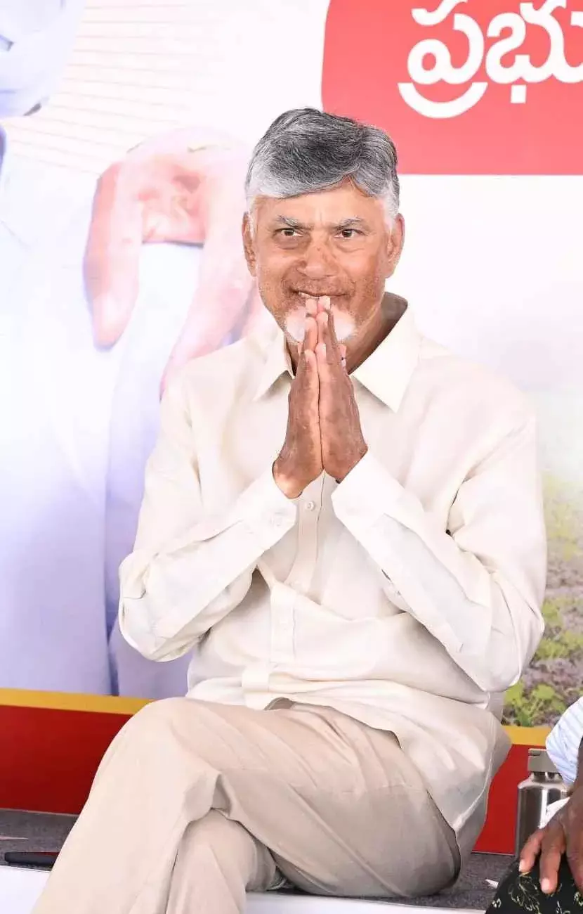 నెయ్యిలో జంతువుల కొవ్వే కాదు..బాత్‌రూమ్‌ క్లీనర్లు కూడా: చంద్రబాబు