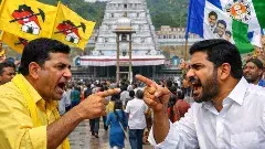 కల్తీ నెయ్యి రగడ:యాత్రికుల మనోభావాలు ఏమి సమాధానం చెబుతున్నాయి!