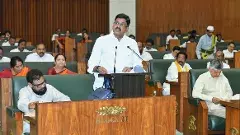 WHO బడ్జెట్ కేటాయింపు పై చేసిన సూచనలు ఏమిటి?