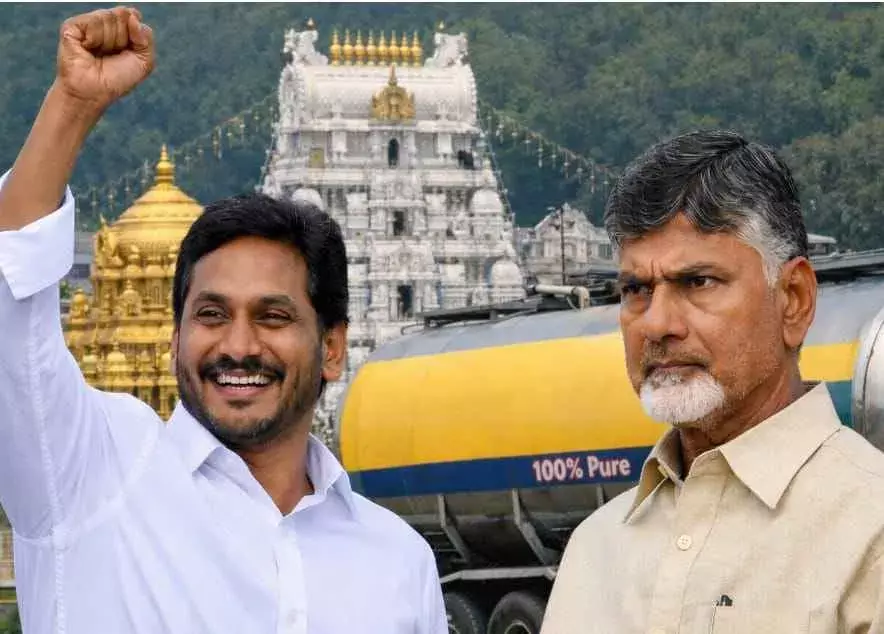 Adulterated ghee | షోలాపూర్ కి చేరిన వెంకన్న పంచాయతీ..!