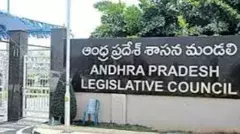 మండలిలో లడ్డూ రాజకీయం..అపవిత్రతపై పరస్పర విమర్శలు