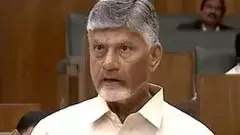 పాల విషాదం: రూ. 10 లక్షల పరిహారం ప్రకటించిన సీఎం చంద్రబాబు