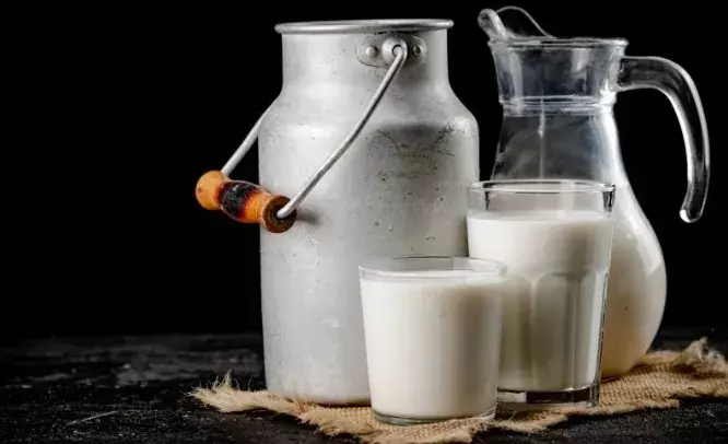 రాజమహేంద్రవరం కల్తీ పాలలో ఇథైలిన్ గ్లైకాల్