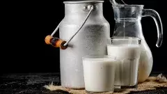 రాజమహేంద్రవరం కల్తీ పాలలో ఇథైలిన్ గ్లైకాల్