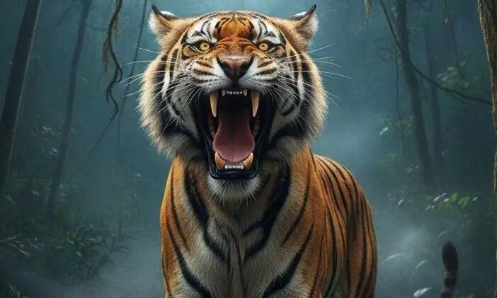 Tiger roaring Tiger roaring